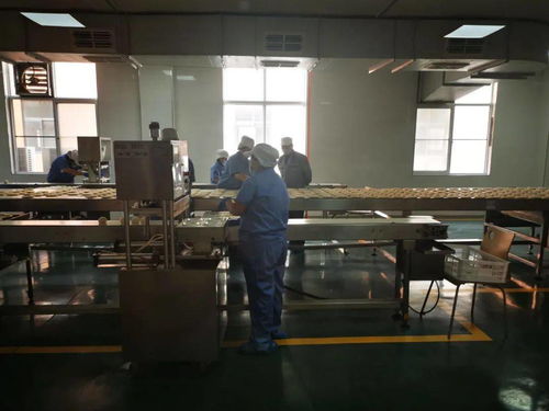 陜西五大供應鏈行業標桿企業創始人齊聚，分享數字化轉型之路與西安網站建設經驗