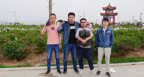 影視宣傳，我們是認真的——西安網站建設助力影視行業騰飛